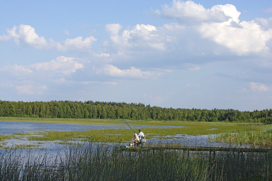 Angler am Grutas-See (bei Druskininkai), Litauen