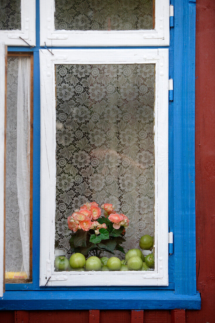 Detail eines Fenster eines traditionellen Fischerhauses in Minja im Nemunasdelta (Memeldelta), Litauen