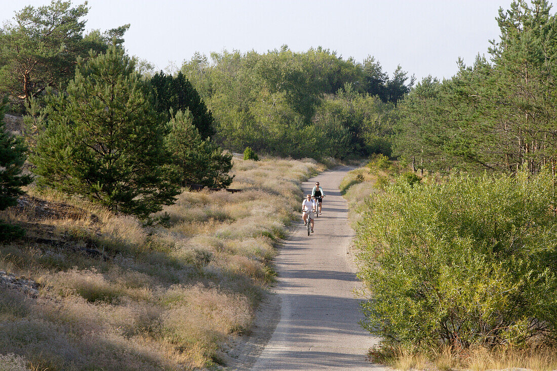 Cycling path along the Curian spit, Lithuania