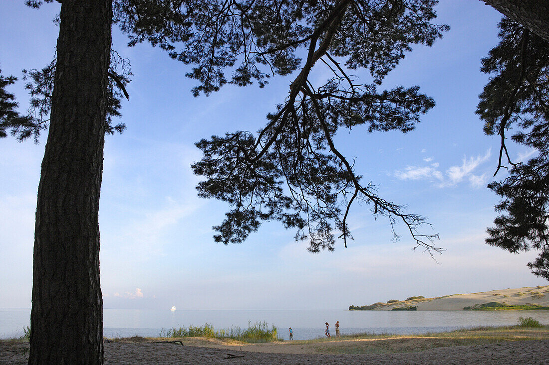 Big dune in Nida, Nidden, Curonian spit, Lithuania