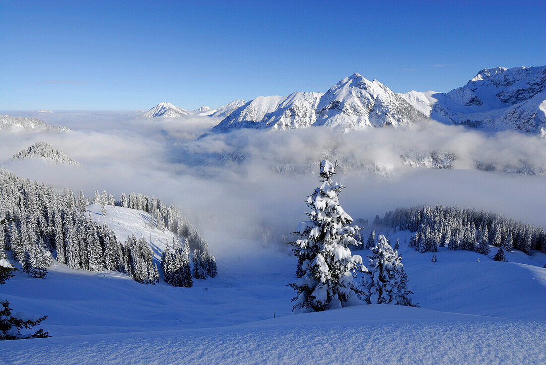 verschneite Berglandschaft, Sonnenkopf, Allgäuer Alpen, Allgäu, Schwaben, Bayern, Deutschland