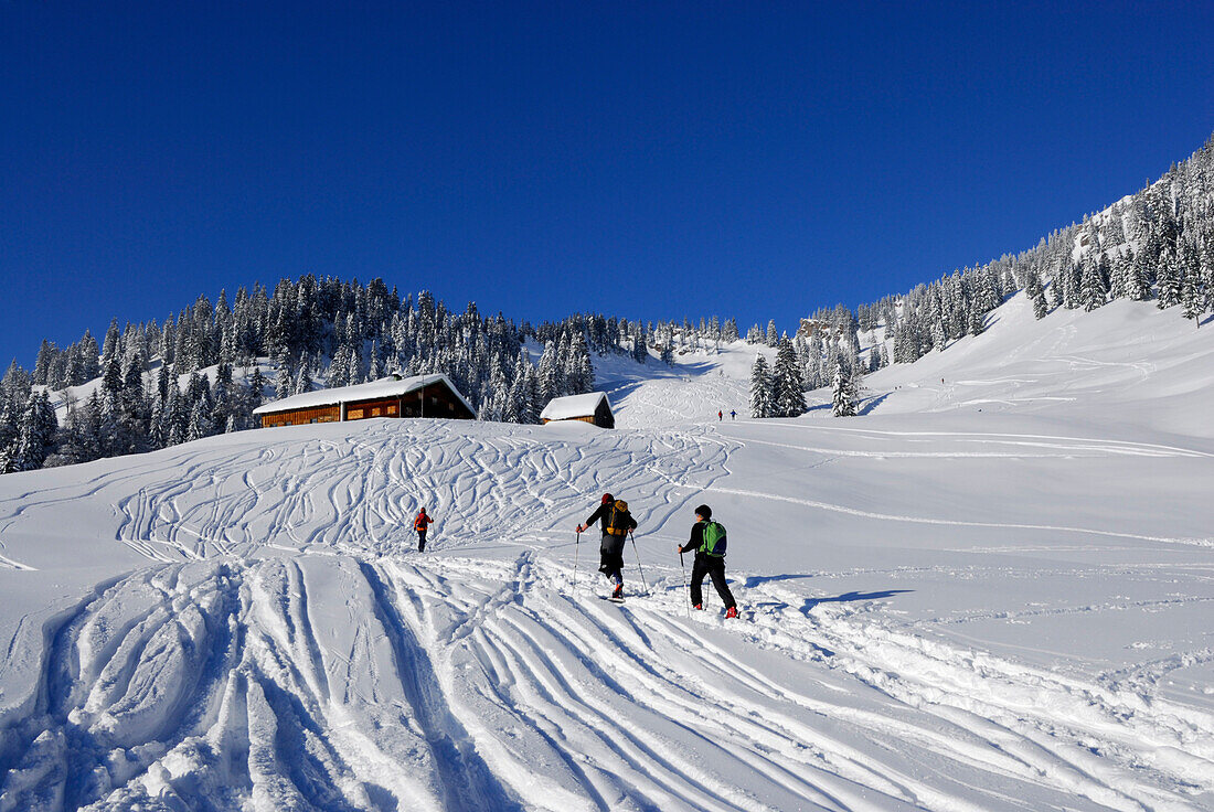 Skitourengeher unterwegs durch verschneite Berglandschaft mit Almhütte, Sipplinger Kopf, Balderschwanger Tal, Allgäuer Alpen, Allgäu, Schwaben, Bayern, Deutschland