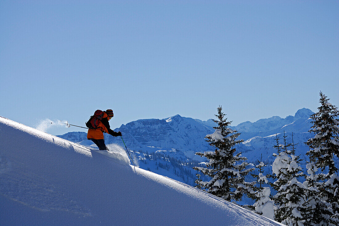 Skier skiing downhill, Feuerstaetter Kopf, Allgaeu Alps, Vorarlberg, Austria