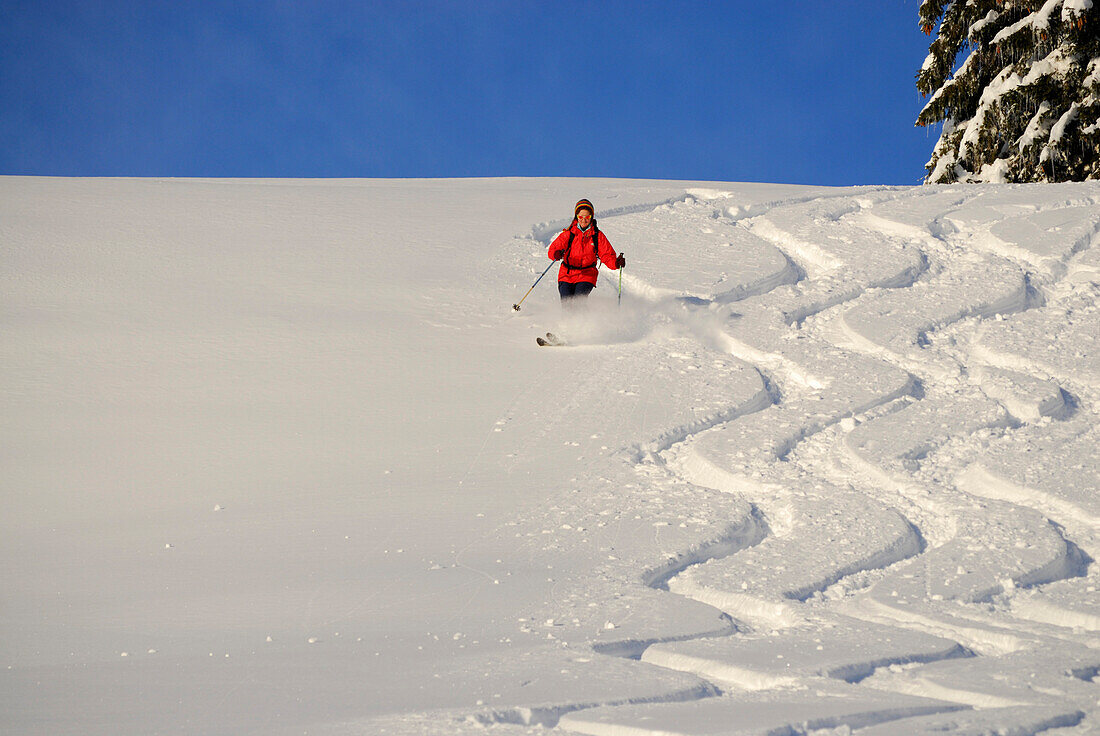 Female skier, downhill skiing in snow-covered mountain scenery, Koppachstein, valley of Balderschwang, Allgaeu range, Allgaeu, Swabia, Bavaria, Germany