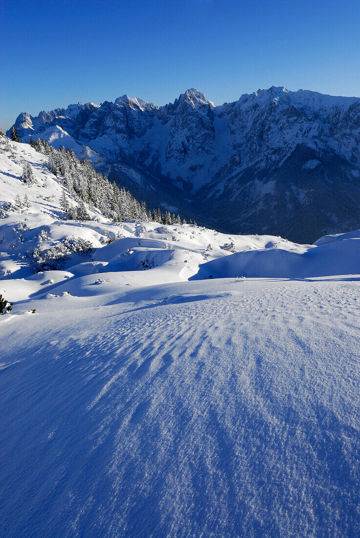 verschneite Winterlandschaft und Wilder Kaiser im Hintergrund, Petersköpfl, Zahmer Kaiser, Kaisergebirge, Tirol, Österreich