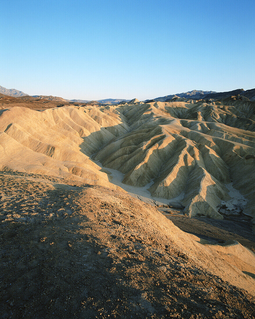 Death Valley National Park. California. USA.