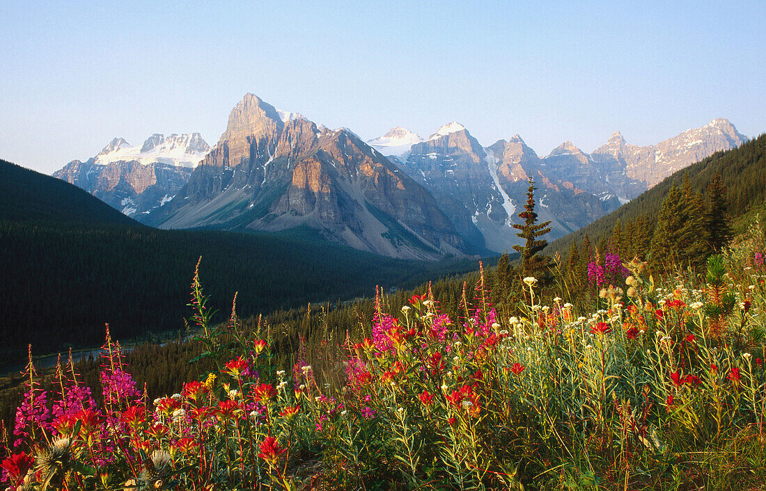 Banff National Park. Alberta. Canada