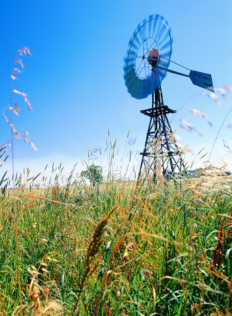 Windmill. Victoria. Australia