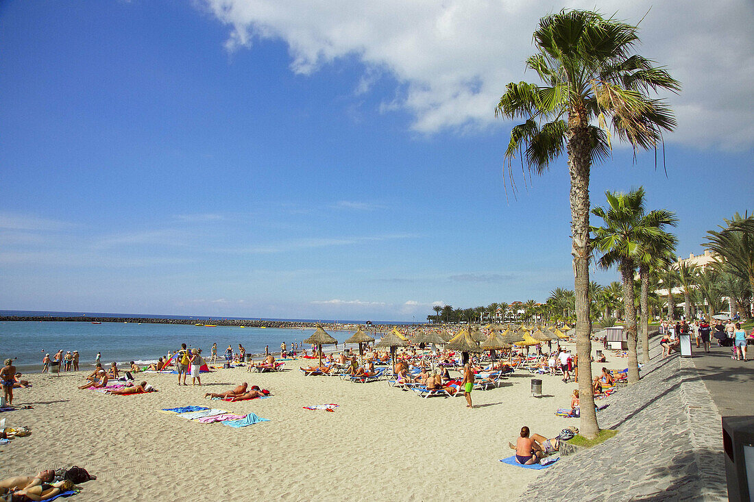 Las Caletillas beach, Los Cristianos. Tenerife, Canary Islands. Spain