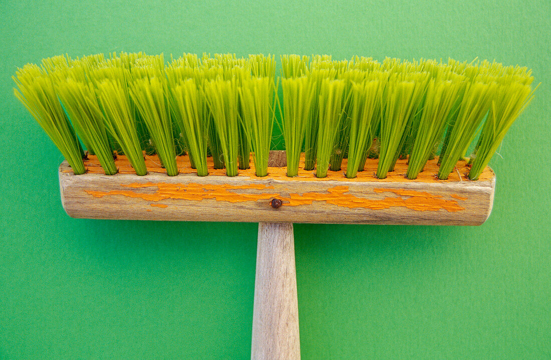  Brush, Brushes, Clean, Cleaning, Close up, Close-up, Closeup, Color, Colour, Concept, Concepts, Detail, Details, Green, Horizontal, Indoor, Indoors, Interior, Object, Objects, One, One item, Still life, Thing, Things, CatV9, G64-614324, agefotostock 