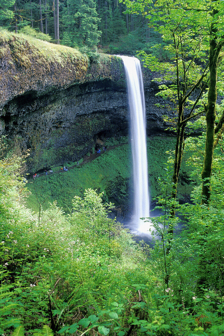 South Falls, Silver Falls State Park. Oregon, USA