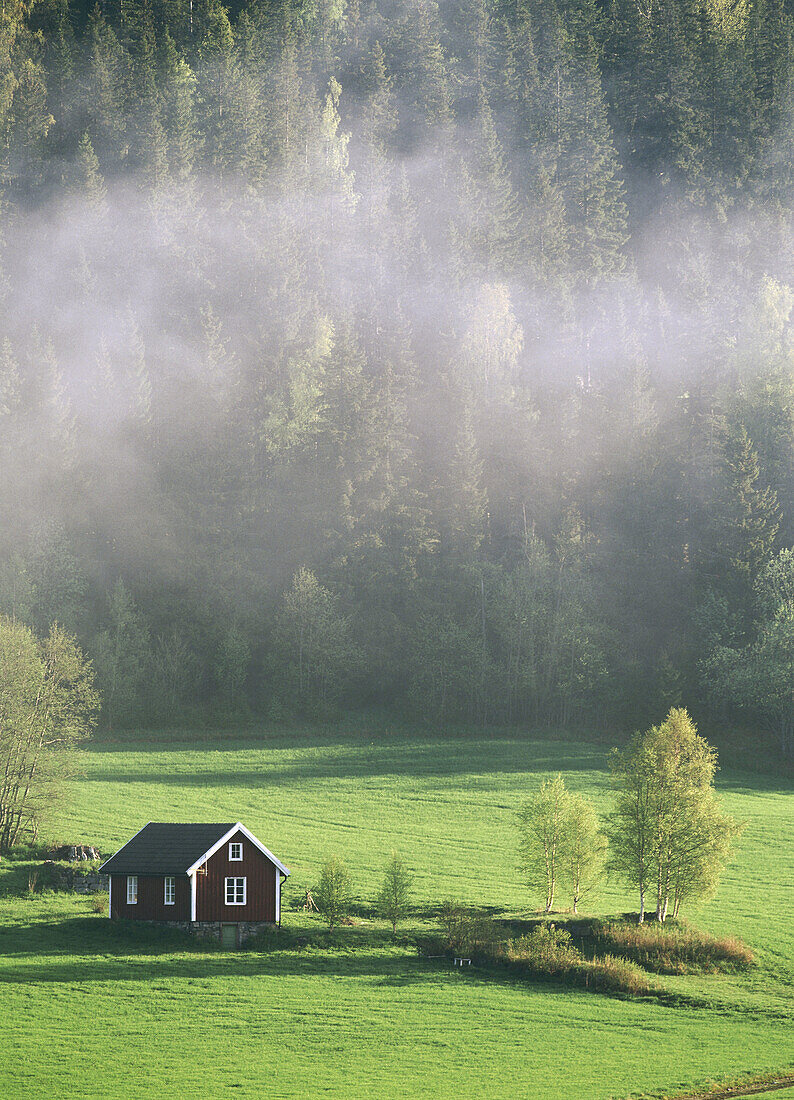 Red cottage, misty morning. Ångermanland. Sweden