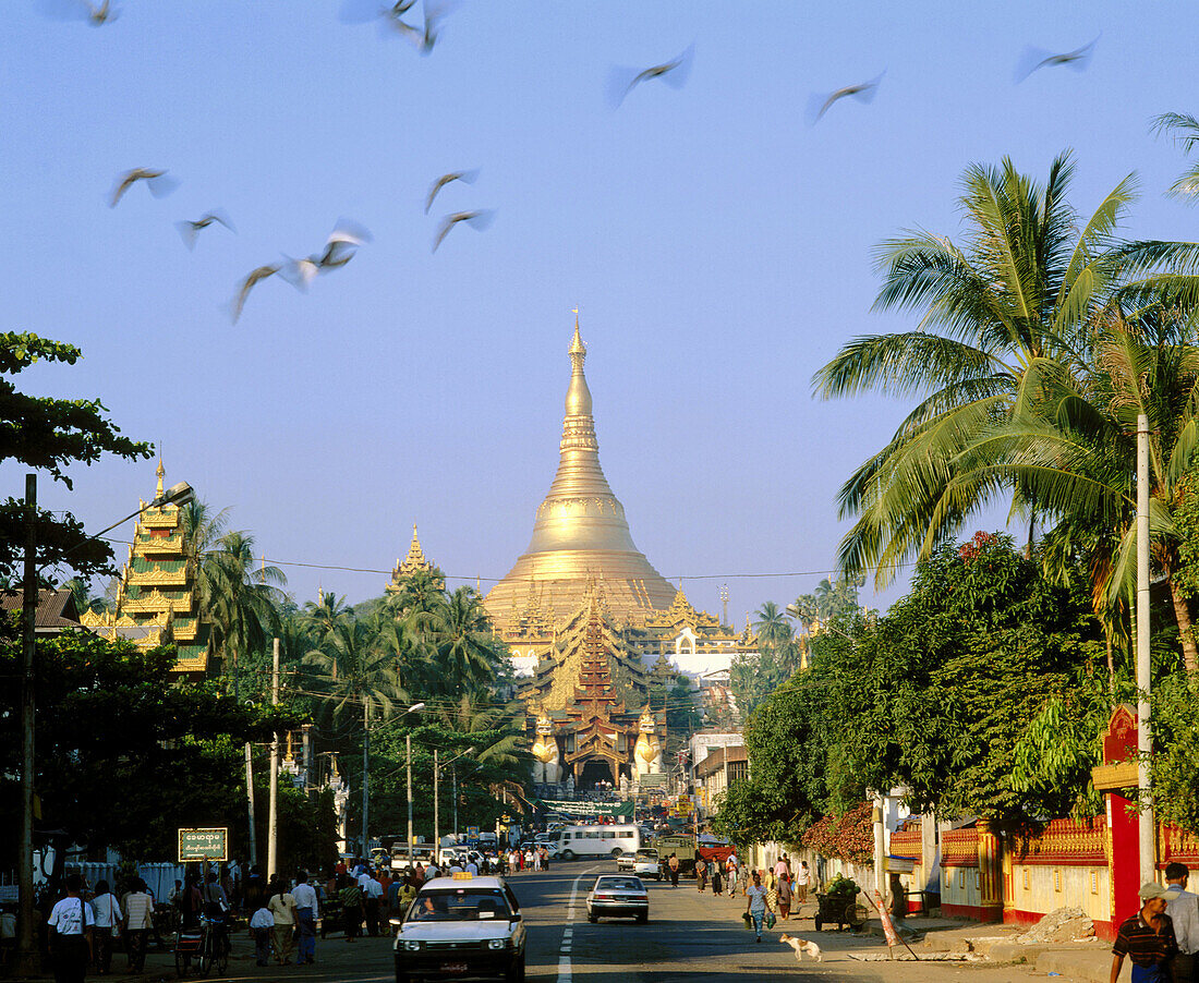 Shwedagon Pagoda. Yangoon. Myanmar