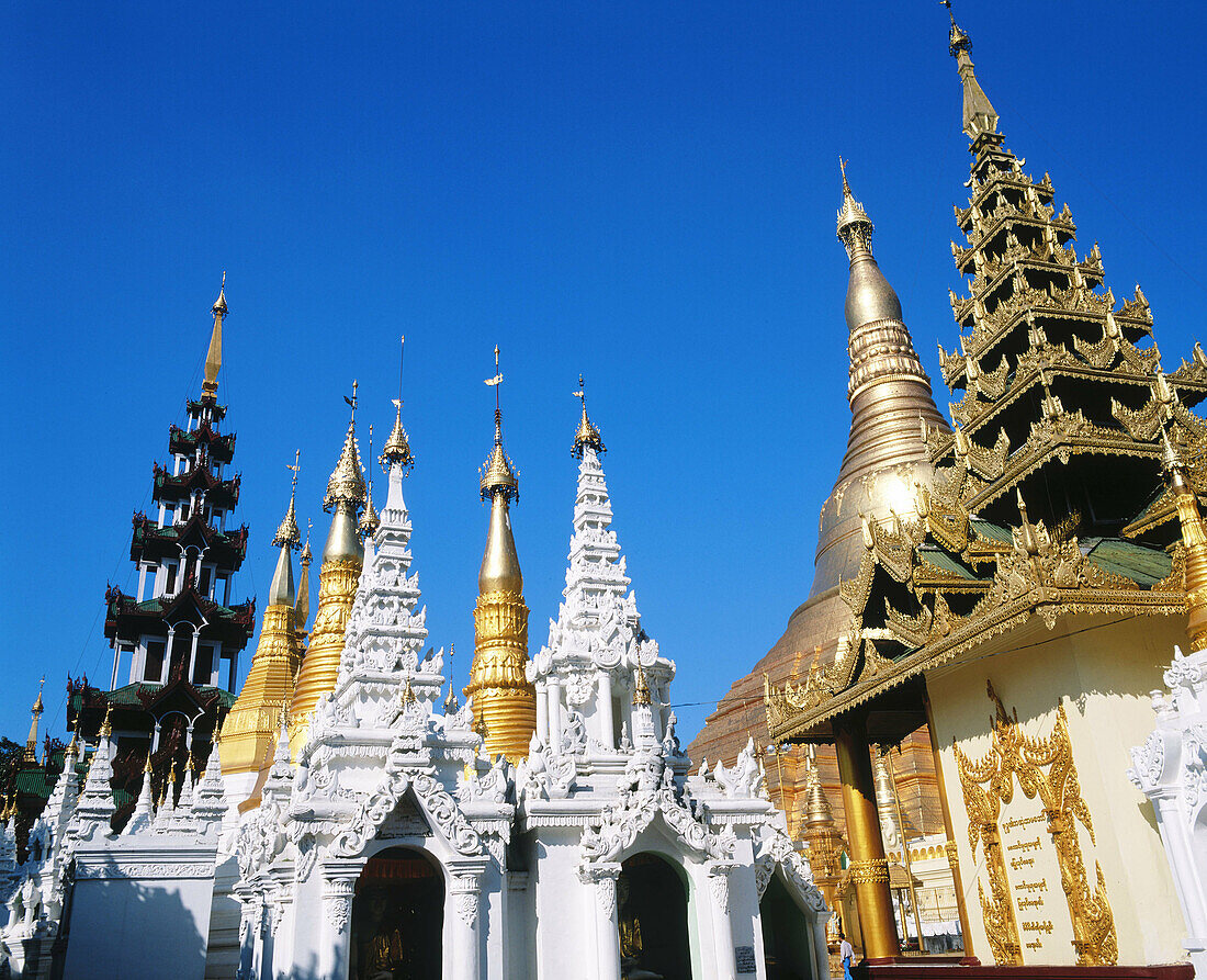 Shwedagon Pagoda. Yangoon. Myanmar