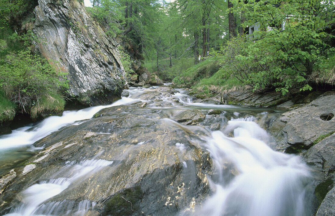 River in Alpe Devero. Alps. Piedmont. Italy