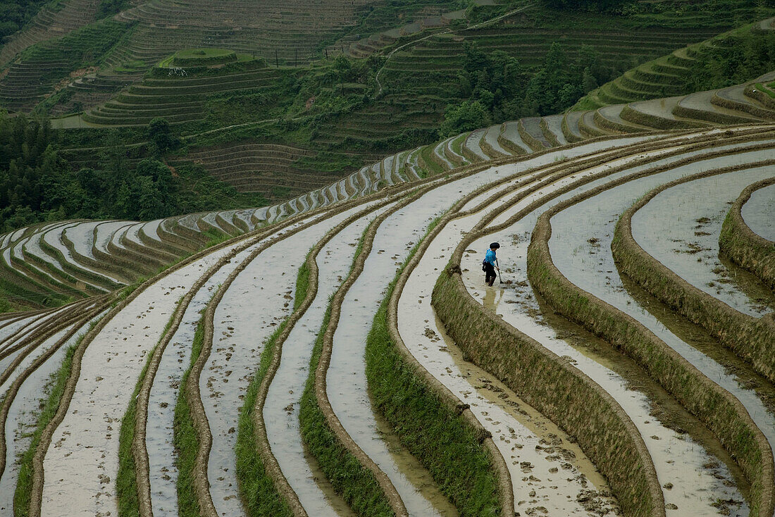 Terraced rice fields. Guilin. Longsheng. Guangxi Province. China.