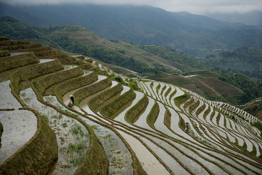 Terraced rice fields. Guilin. Longsheng. Guangxi Province. China.