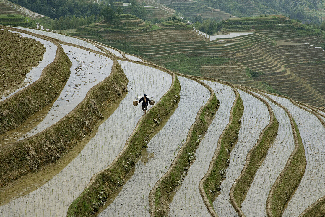 Terraced rice fields. Guilin. Longsheng. Guangxi Province. China.