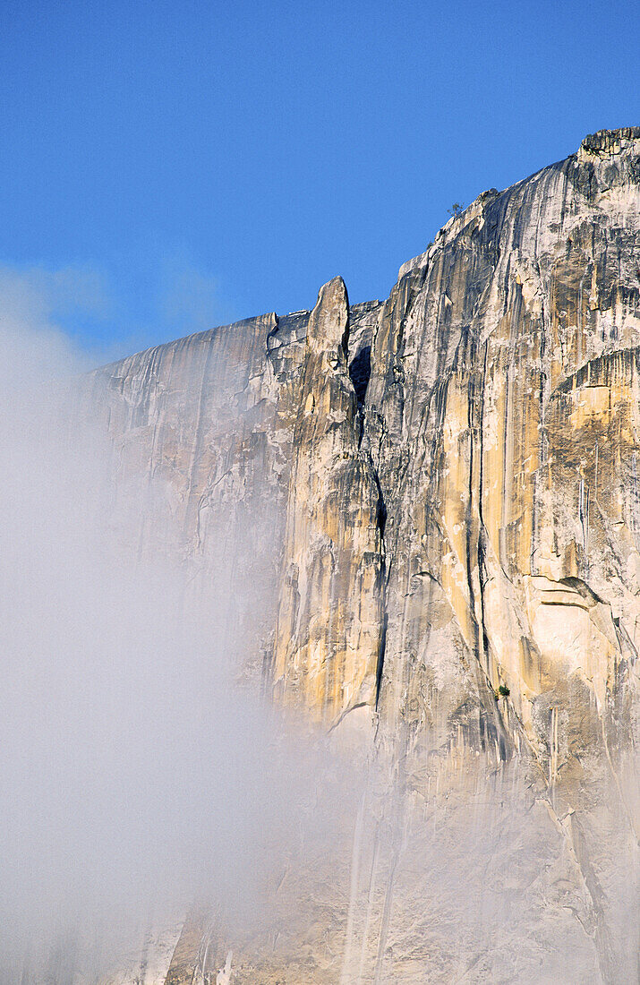 Lost Arrow Spire surrounded by clouds. Yosemite Valley. Yosemite NP. California. USA