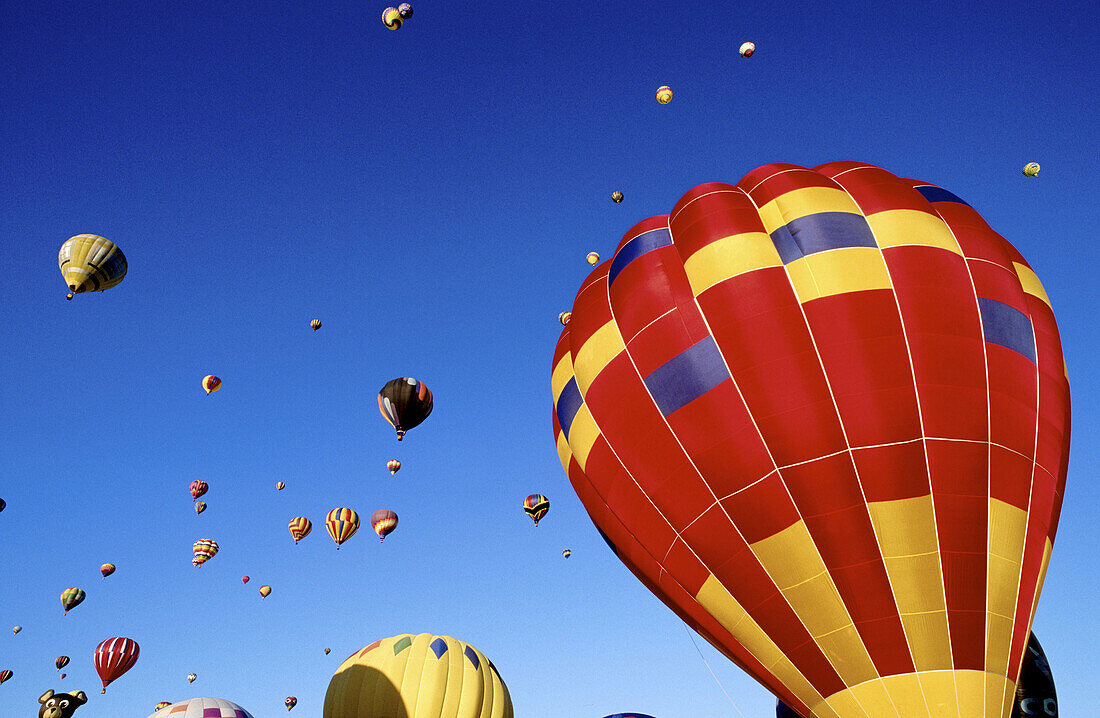 Hot air balloons rising into the blue New Mexico sky at the International Balloon Fiesta, Albuquerque, New Mexico, USA