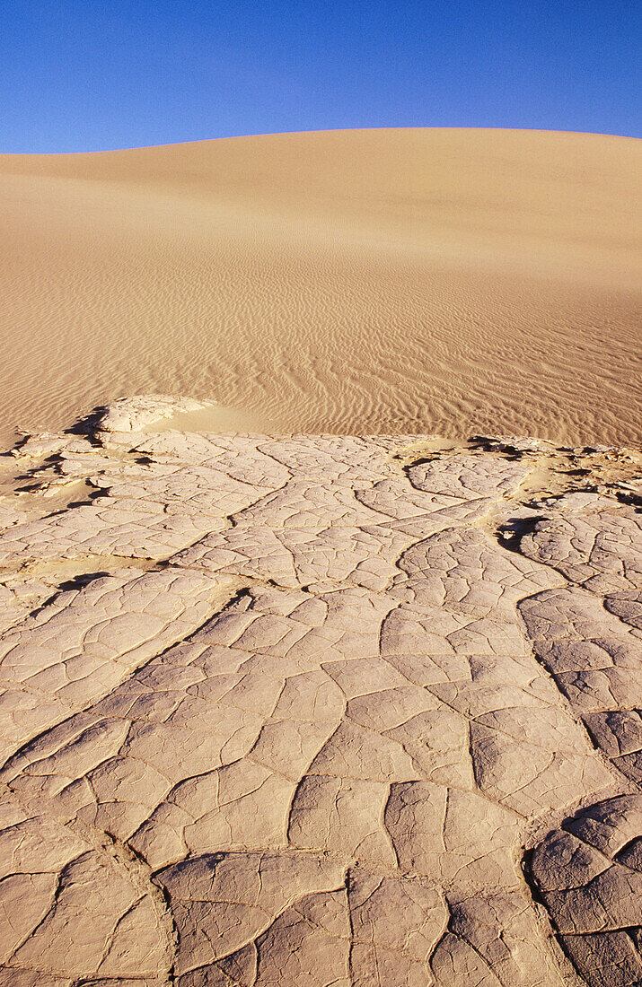 Mesquite Flat Sand Dunes. Death Valley NP. California. USA