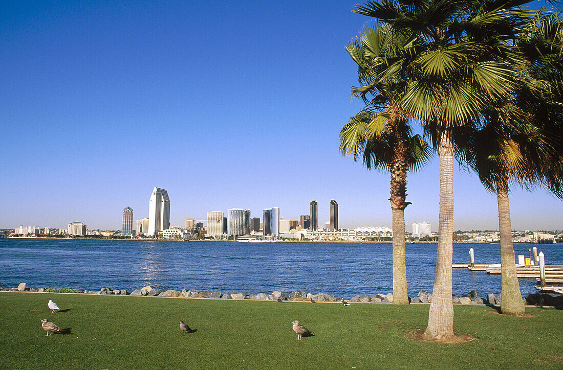 San Diego downtown and harbor from a park on Coronado Island. California. USA