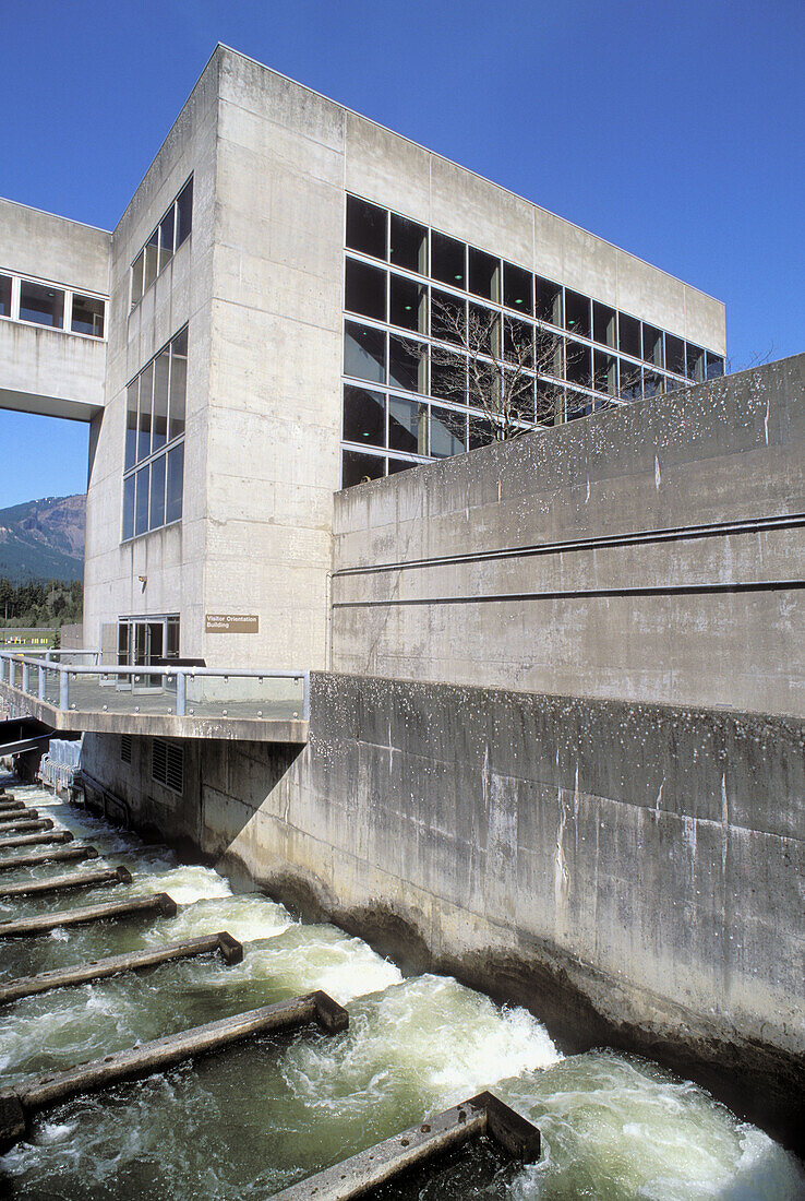 Salmon ladders and viewing area at the Bonneville Dam. Columbia River Gorge National Scenic Area. Washington. USA