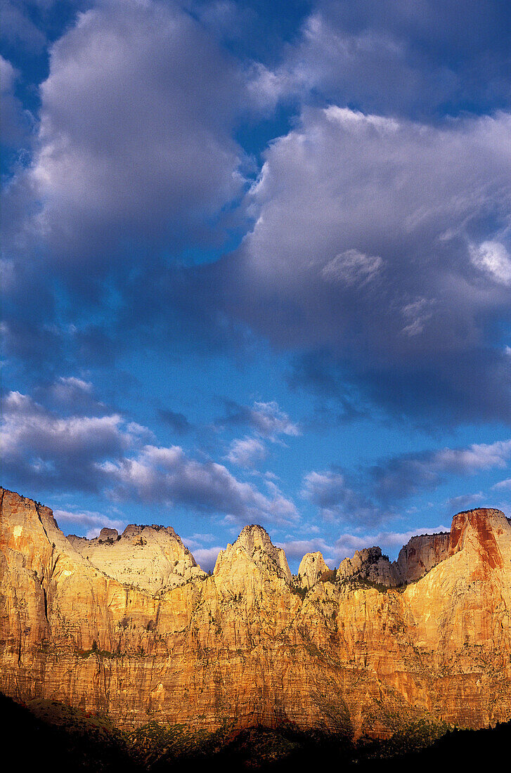 Dawn light on the Towers of the Virgin, Zion Canyon, Zion National Park, Utah