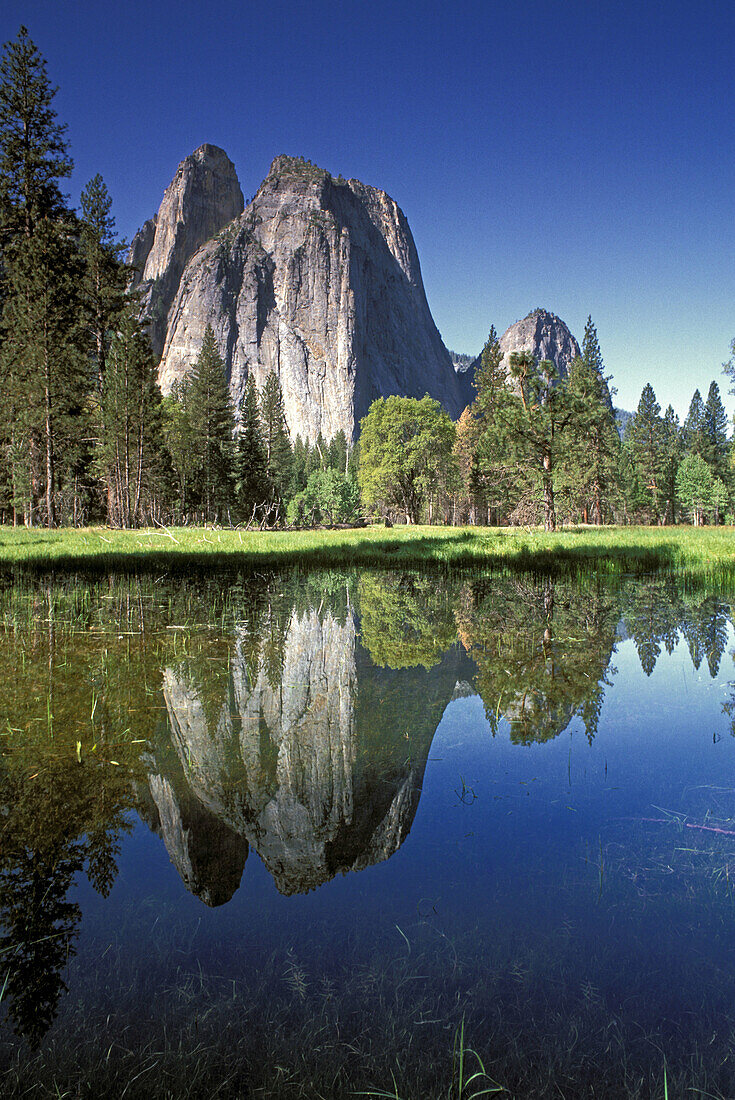 Cathedral Rocks reflected in pond, Yosemite Valley, Yosemite National Park (World Heritage Site), California