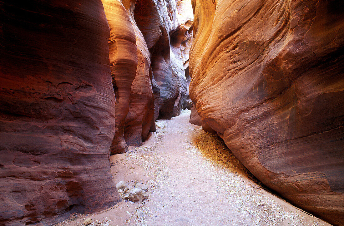 Slot canyon in Buckskin Gulch, Paria Canyon-Vermillion Cliffs Wilderness, Arizona