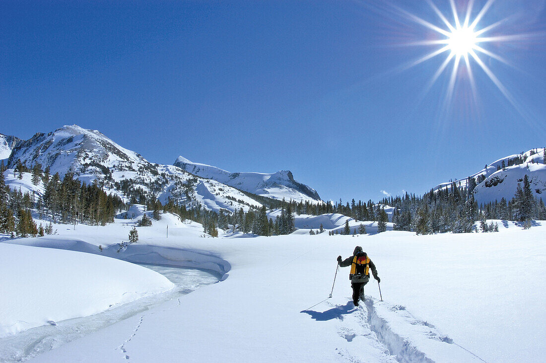 Backcountry skier in fresh snow along frozen Lee Vining Creek, Inyo National Forest, Sierra Nevada Mountains, California