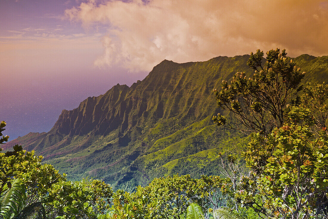 Kalalau Valley from the Pihea Trail, Koke e State Park, Island of Kauai, Hawaii