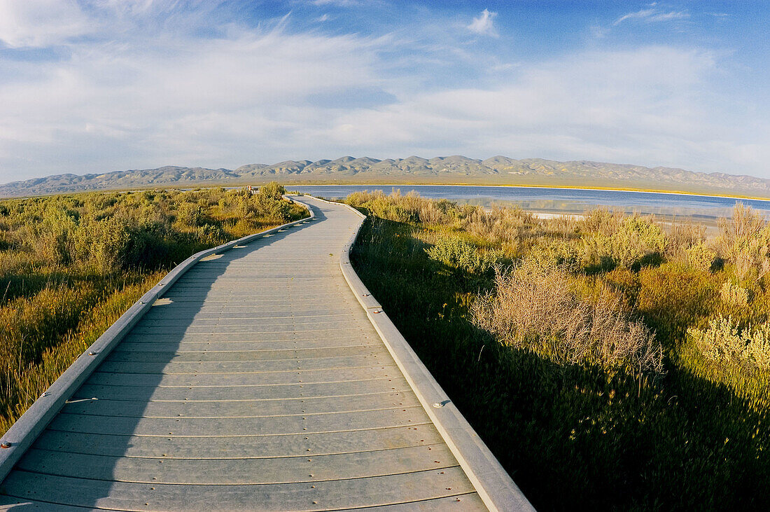 Boardwalk on the interpretive trail at Soda Lake, Carrizo Plain National Monument, California