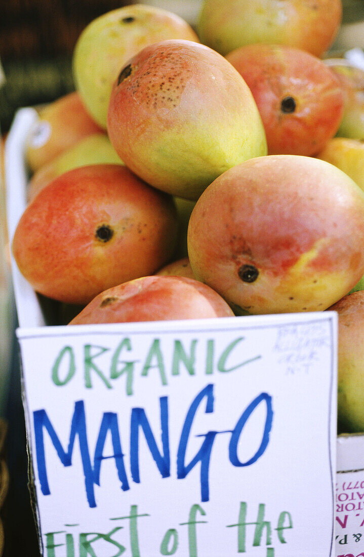 Organic mangos at a farmers market