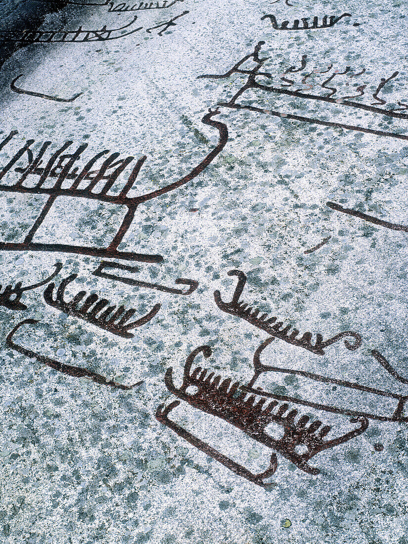 Rock carvings from Bronze Age at Tanums Hede, a UNESCO s world heritage. Sweden