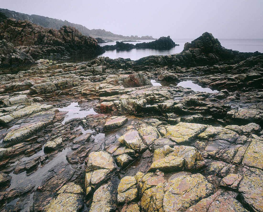 Rocks at Hovs Hallar Nature Reserve by the Kattegatt Sea, Skåne, Sweden. Scandinavia, Europe.