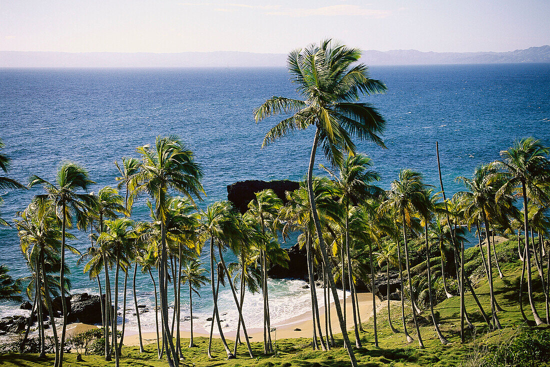 Beach. Samana Peninsula. Dominican Republic