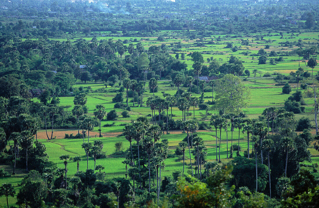 Plains in Cambodia