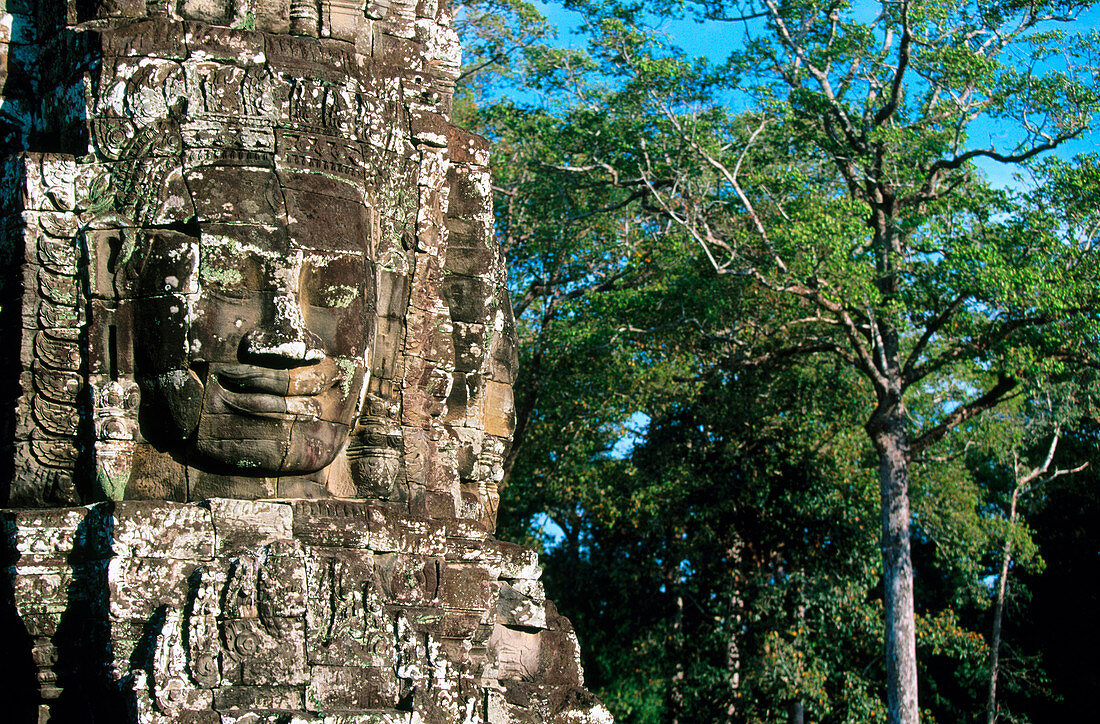 Sculpture in Bayon Temple. Angkor. Siem Reap. Cambodia