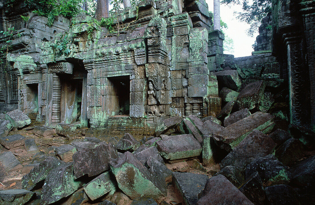 Ta Prohm Temple in Angkor Wat complex. Siem Reap. Angkor.