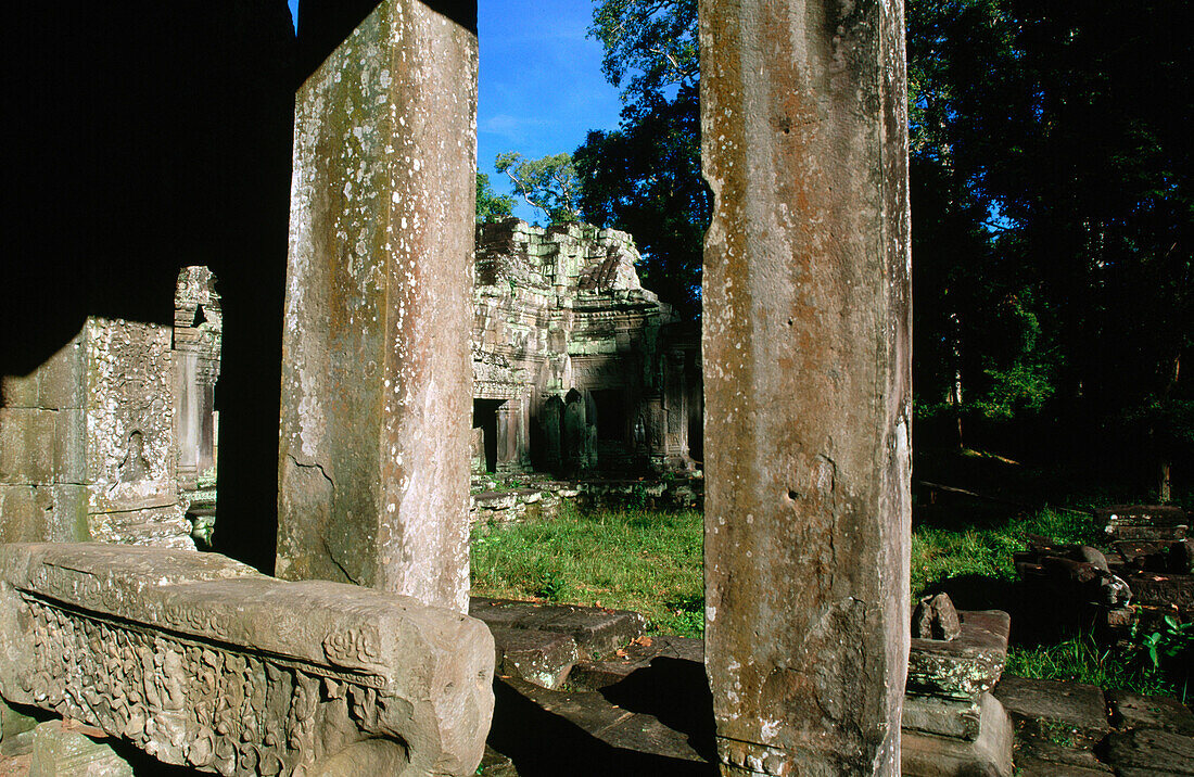 Ta Prohm Temple. Angkor Wat. Cambodia