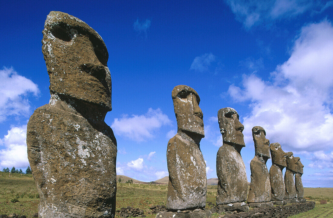 Moais in Ahu Akivi. Easter Island. Chile