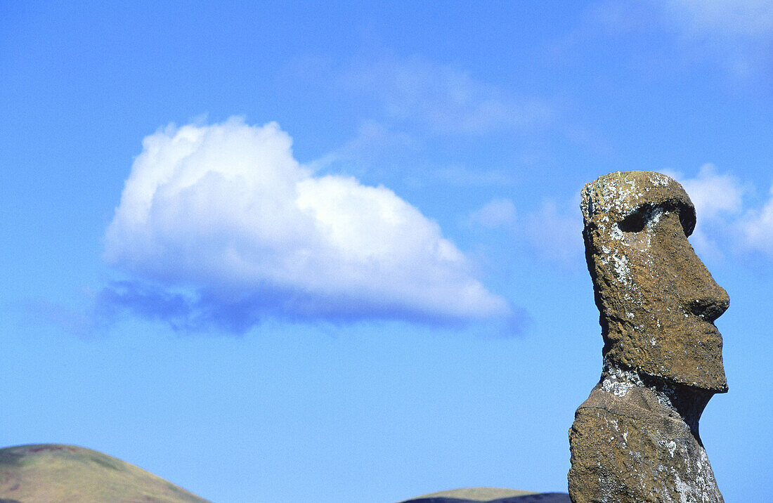 Moai in Ahu Akivi. Easter Island. Chile