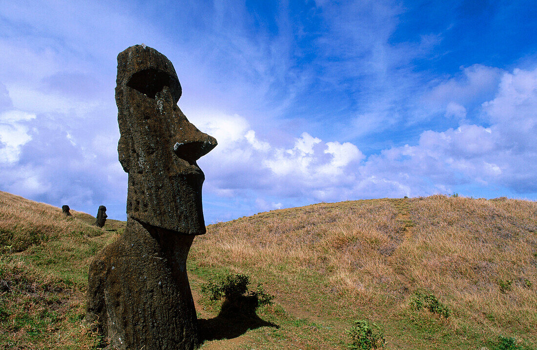 Moais at Rano Raraku. Eastern Island. Chile