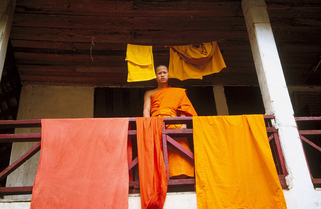 Monk in monastery. Luang Prabang, Laos