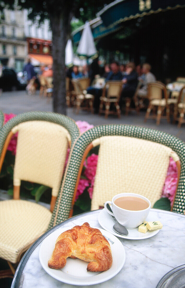 Outdoor café in Paris. France