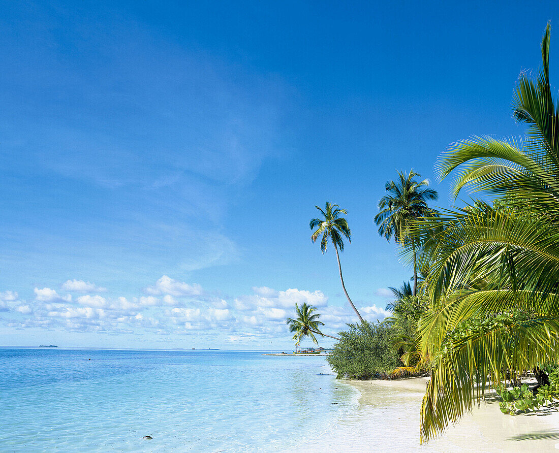 Ari atoll, white sands resort. Maldives Islands. Indian Ocean