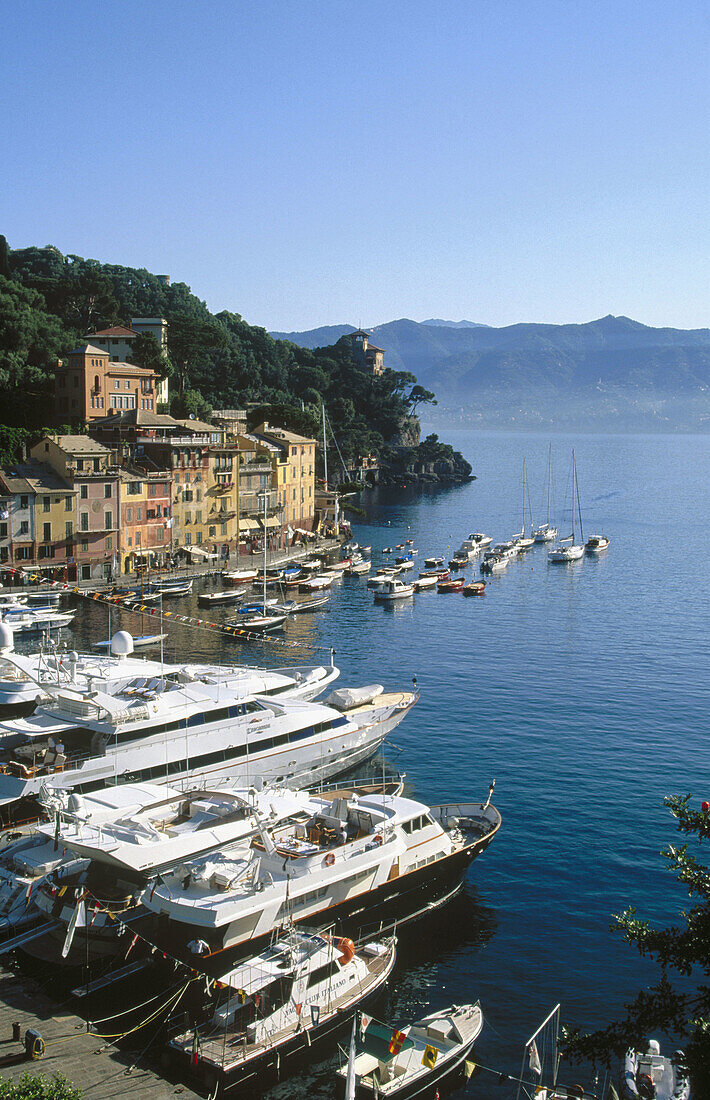 Portofino. Liguria, Italy