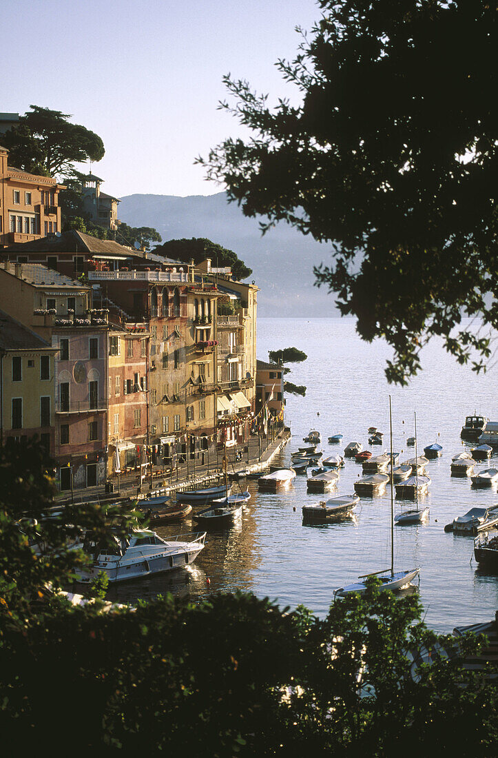 Portofino. Liguria, Italy