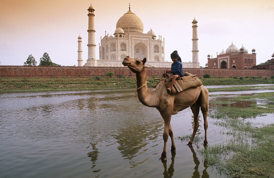 Boy on camel at Taj Mahal in Agra. Uttar Pradesh, India